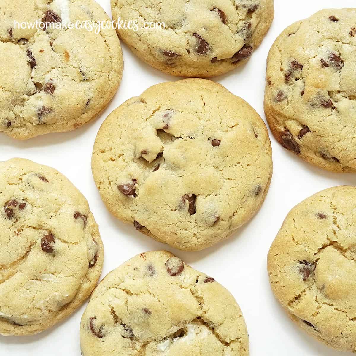 big, chewy chocolate chip cookies