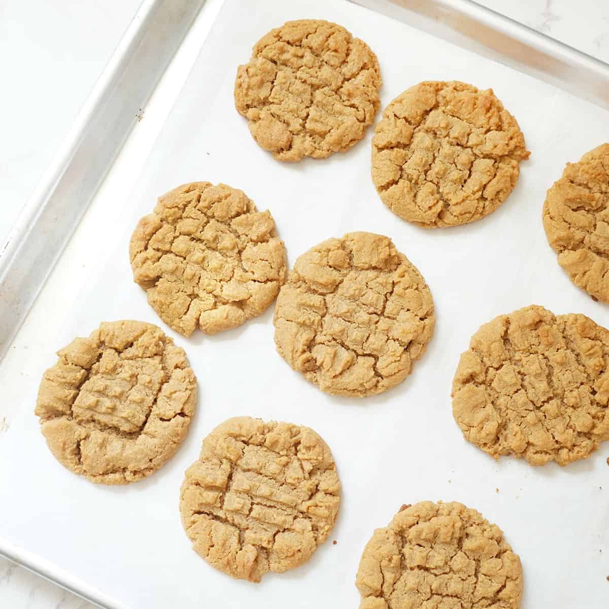 peanut butter cookies with no flour on baking tray