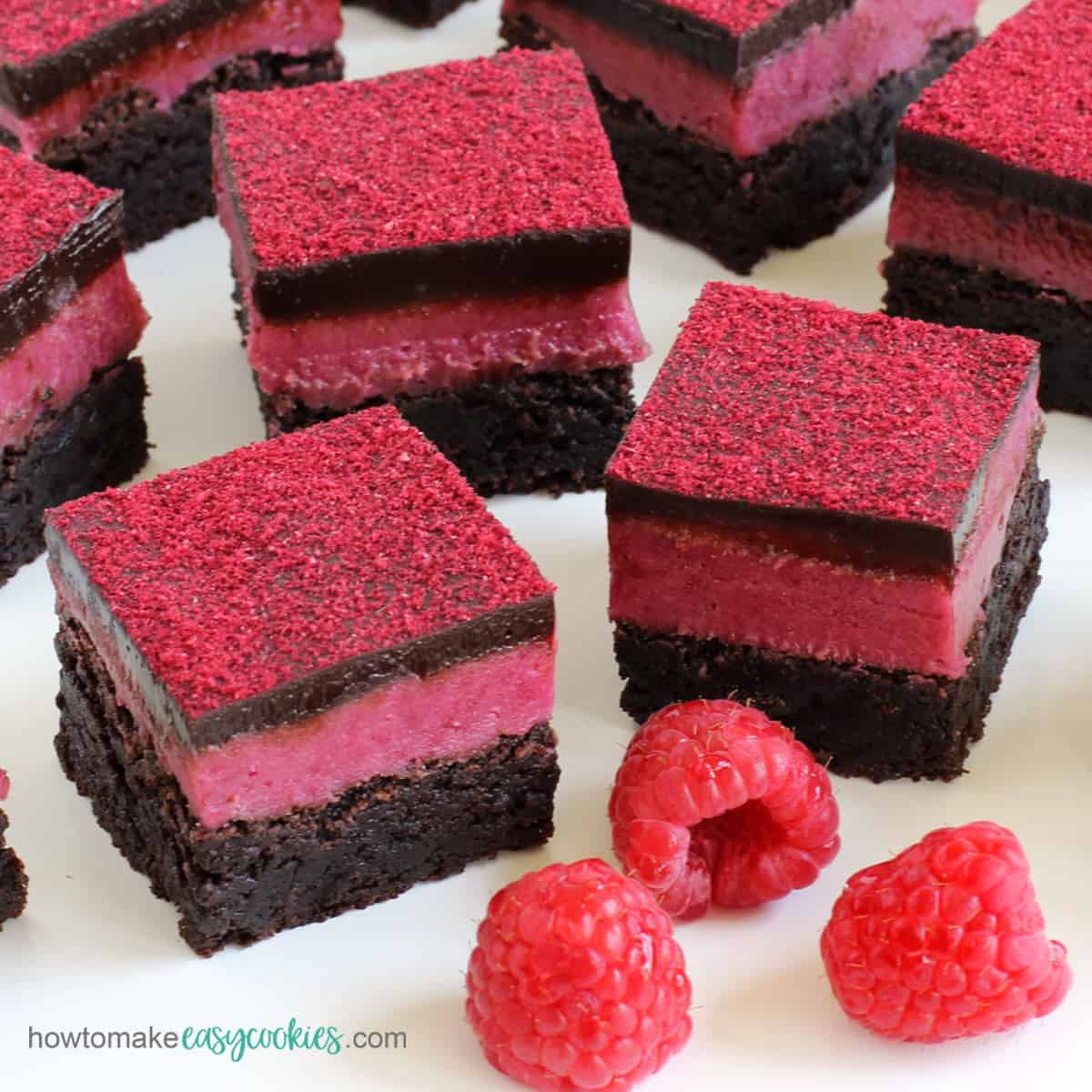 rasbperry chocolate cookie bars topped with freeze-dried raspberry powder