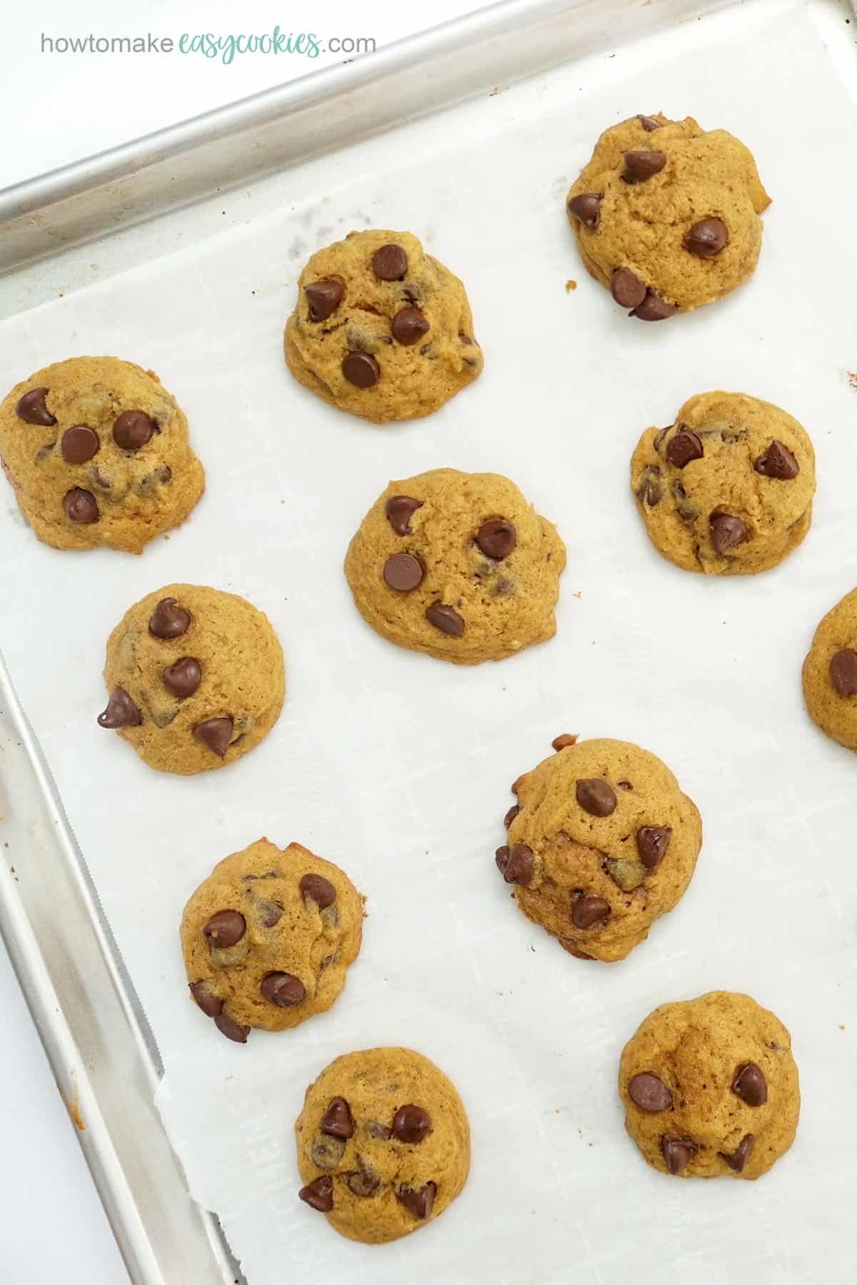 pumpkin chocolate chip cookies on baking tray